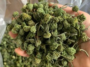 Alternative view of Nụ Hoa Tam Thất 1kg