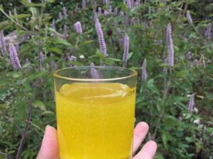 Alternative view of Mật Ong Bạc Hà 1 lít