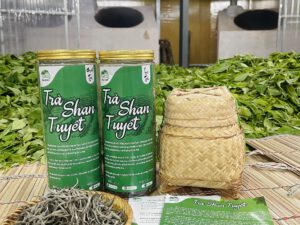 Trà Shan Tuyết - BạchTrà ( 1 Hộp 100g )