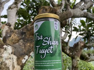 Trà Shan Tuyết - Hồng Trà ( 1 Hộp 200g )